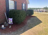 Pure Cuts Lawn Care LLC