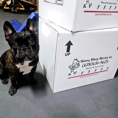 True South Moving And Storage