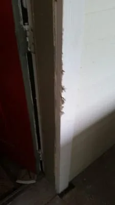 Cj Professional Movers photo 3