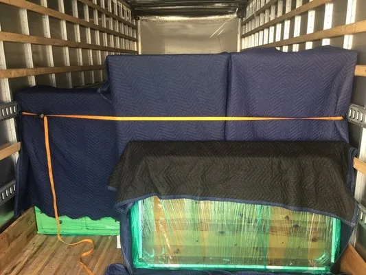 Savannah And Sons Moving